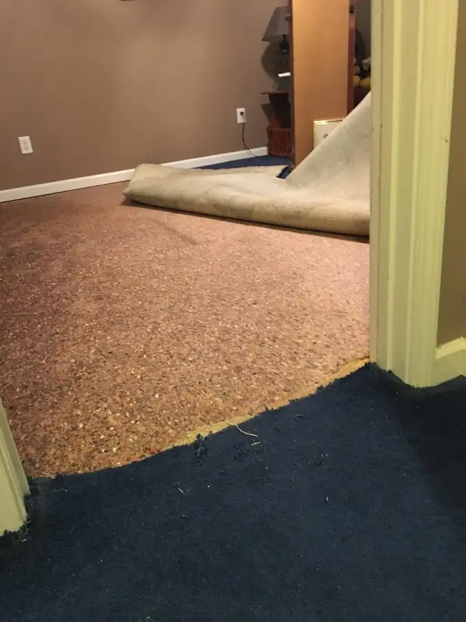 Carpet pad removal revealing water damage during Water Mitigation Services in Brigantine